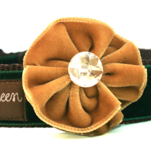 Belle Hair/Dog Collar Flower --Small