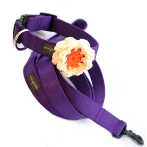 Dark Grape Webbing Collar