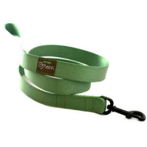 Sage Webbing Leash