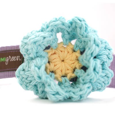 Robbin's Egg Dog Collar Flower