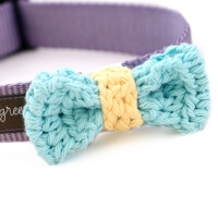 DD Robbin's Egg Collar Bow Tie