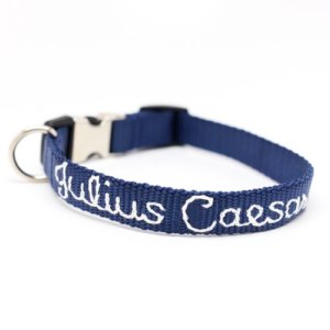 Personalized Webbing Dog Collar *18 colors
