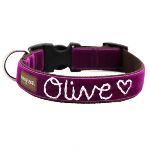 'Olive' Personalized Dog Collar
