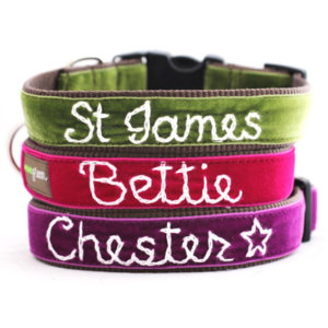 'Olive' Personalized Dog Collar