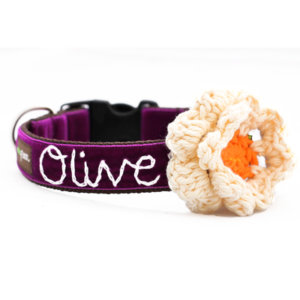 'Olive' Personalized Dog Collar