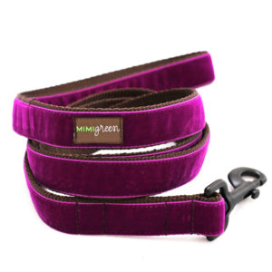 'Olive' Personalized Dog Collar