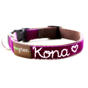 'Olive' Personalized Dog Collar