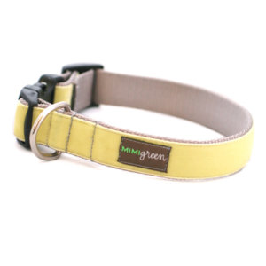 'Sunny' Velvet Dog Collar