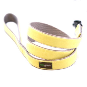 'Sunny' Velvet Dog Collar