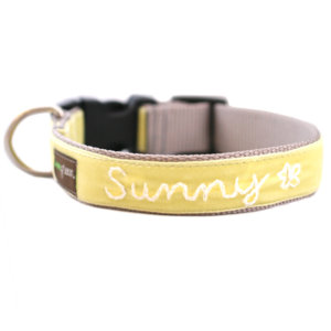'Sunny' Personalized Dog Collar