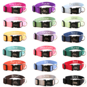 Personalized Engraved Buckle Dog Collar *18 colors