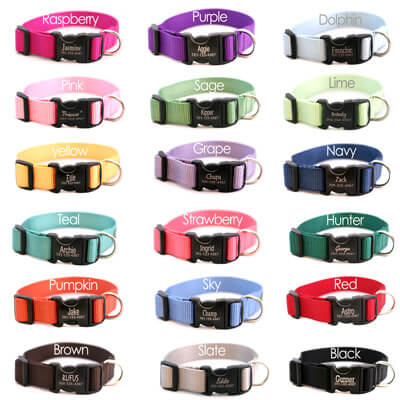 Personalized Engraved Buckle Dog Collar *18 colors