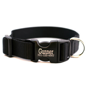 Personalized Engraved Buckle Dog Collar *18 colors