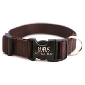 Personalized Engraved Buckle Dog Collar *18 colors