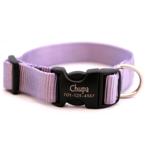Personalized Engraved Buckle Dog Collar *18 colors
