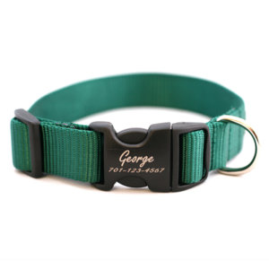 Personalized Engraved Buckle Dog Collar *18 colors
