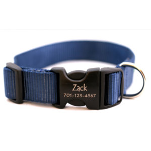 Personalized Engraved Buckle Dog Collar *18 colors