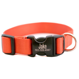 Personalized Engraved Buckle Dog Collar *18 colors