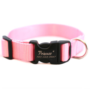 Personalized Engraved Buckle Dog Collar *18 colors