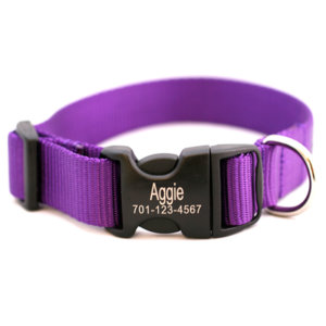 Personalized Engraved Buckle Dog Collar *18 colors