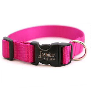 Personalized Engraved Buckle Dog Collar *18 colors