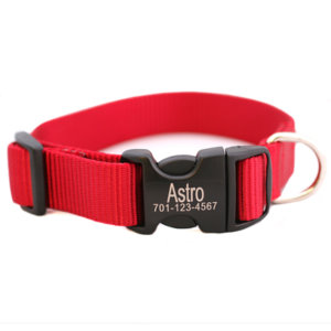 Personalized Engraved Buckle Dog Collar *18 colors