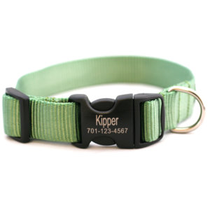 Personalized Engraved Buckle Dog Collar *18 colors