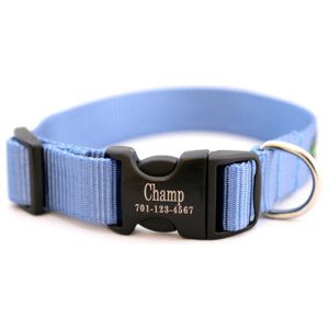 Personalized Engraved Buckle Dog Collar *18 colors