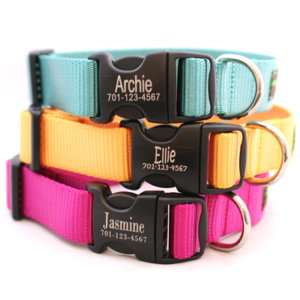 Personalized Engraved Buckle Dog Collar *18 colors