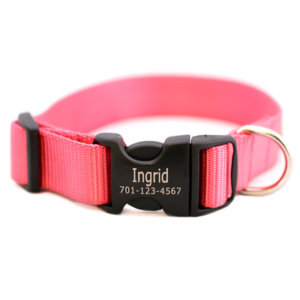 Personalized Engraved Buckle Dog Collar *18 colors