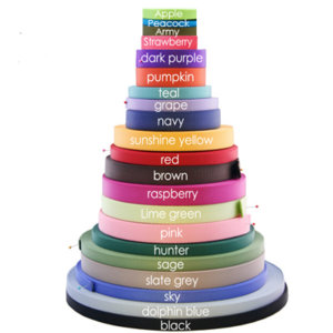 Personalized Engraved Buckle Dog Collar *18 colors