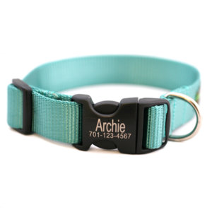 Personalized Engraved Buckle Dog Collar *18 colors