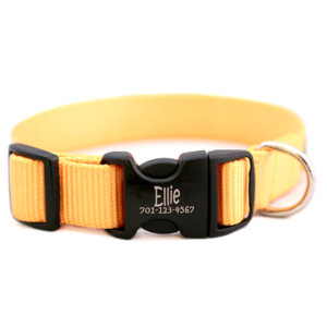 Personalized Engraved Buckle Dog Collar *18 colors