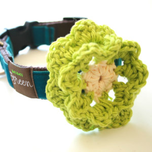 Lemon Lime Dog Collar Flower