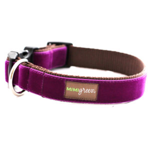 'Olive' Velvet Collar