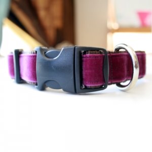 'Olive' Velvet Collar