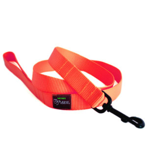 Pumpkin Webbing Leash