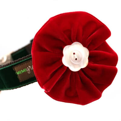 Velvet Flower