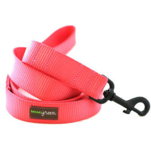 Strawberry Webbing Collar