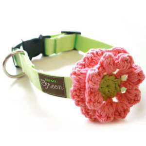 Bubble Gum and Lime Flower Collar