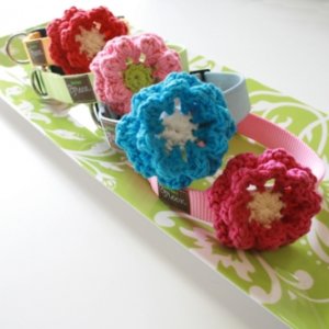 Chocolate and Orange Flower Collar