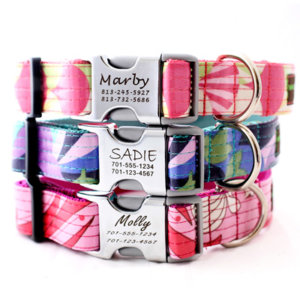 DD: Metal Buckle Engraved Dog Collar *5 Laminated Cotton Style