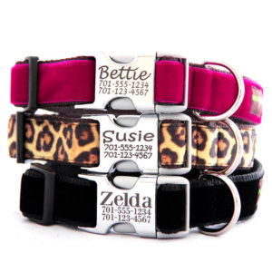DD: Engraved Buckle Dog Collar *Dk Pink, Leopard, Black Velvet