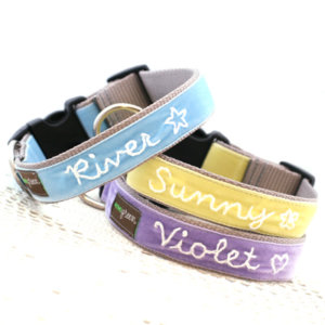 Spring Dog Collars
