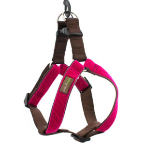 'Bettie' Velvet Dog Harness