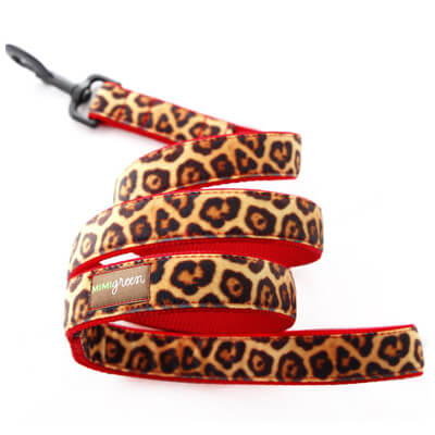 Leopard Print Leash