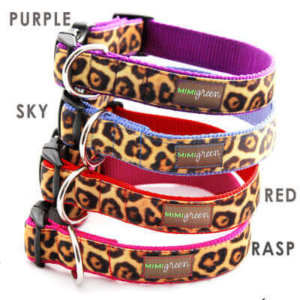 Engraved Buckle Personalized Dog Collar *8 Leopard Styles