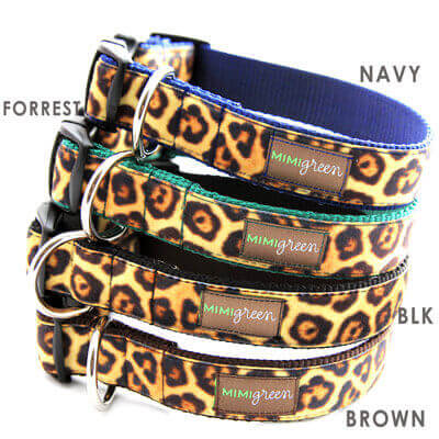 Engraved Buckle Personalized Dog Collar *8 Leopard Styles