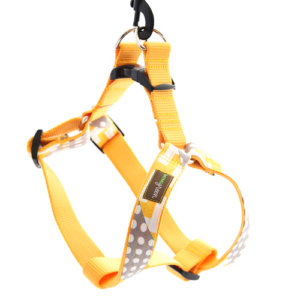 'Stewie' Designer Dog Harness