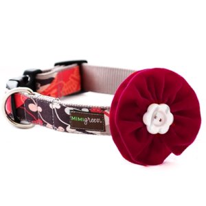 'Brandy' Designer Dog Collar